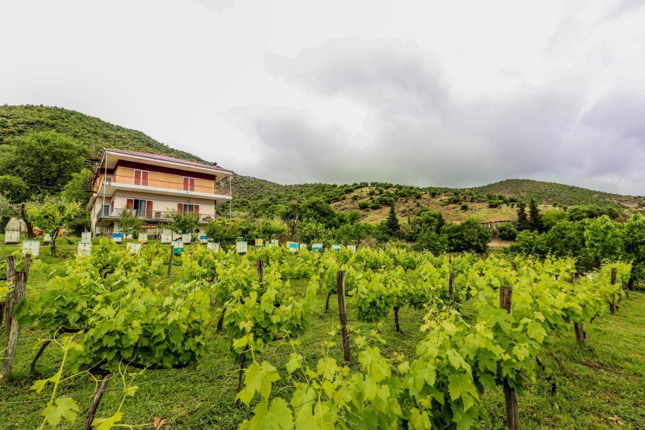 Country Home Genesi 20 Min From Trikala Экстерьер фото