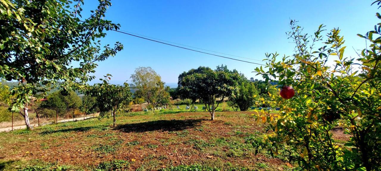 Country Home Genesi 20 Min From Trikala Экстерьер фото