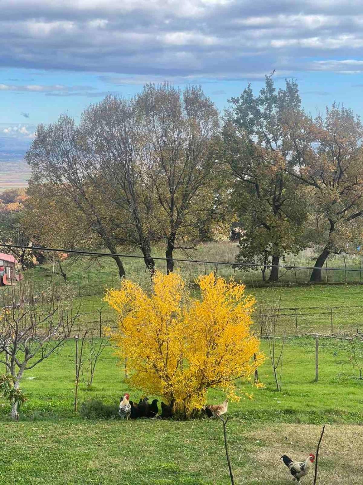 Country Home Genesi 20 Min From Trikala Экстерьер фото
