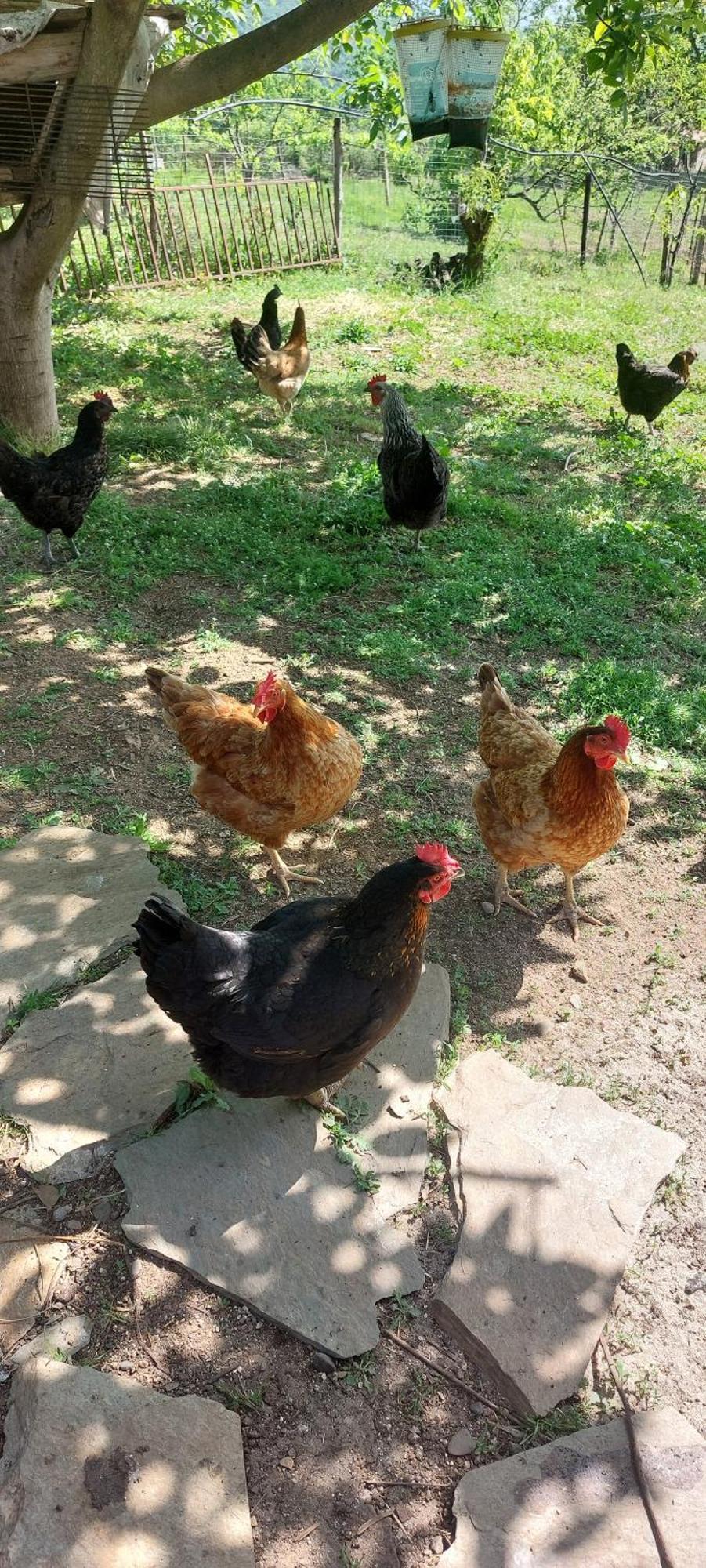 Country Home Genesi 20 Min From Trikala Экстерьер фото