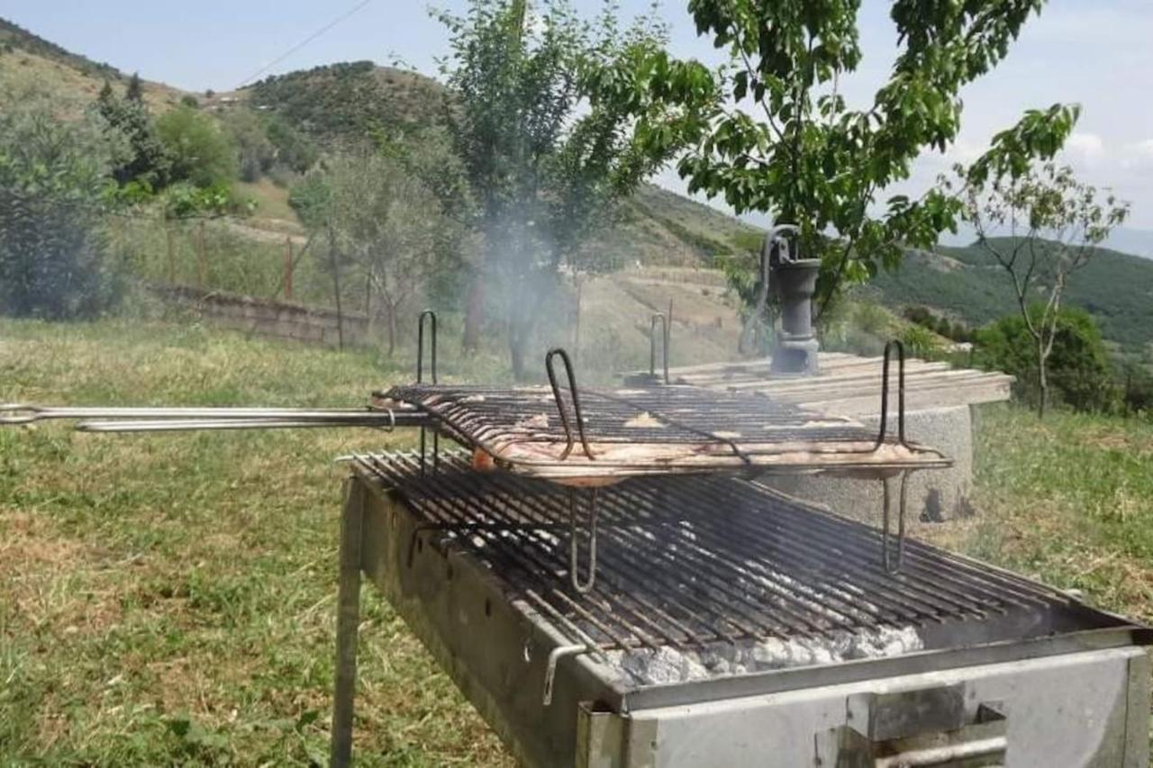 Country Home Genesi 20 Min From Trikala Экстерьер фото
