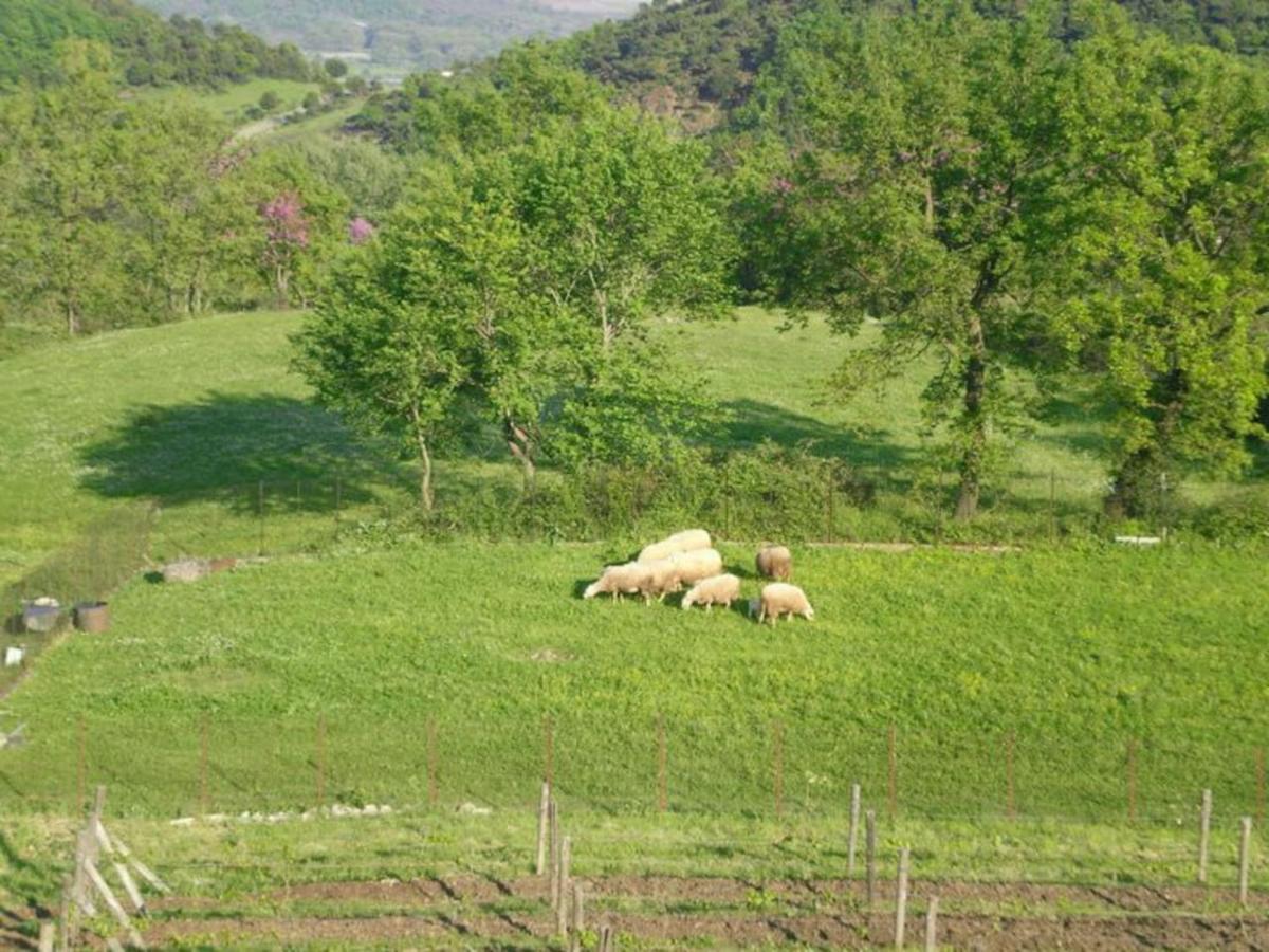 Country Home Genesi 20 Min From Trikala Экстерьер фото